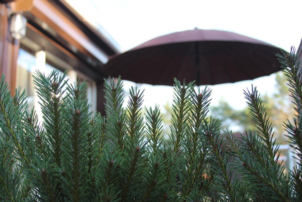 Holiday Terrace Nida Exterior photo